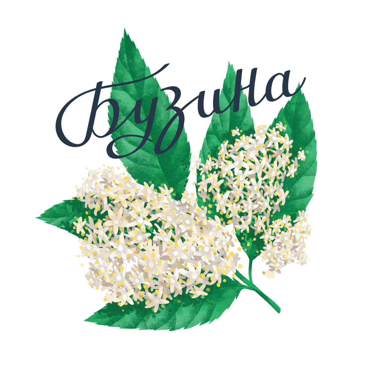 糖漿包裝設計看著像洗發水？(圖4)