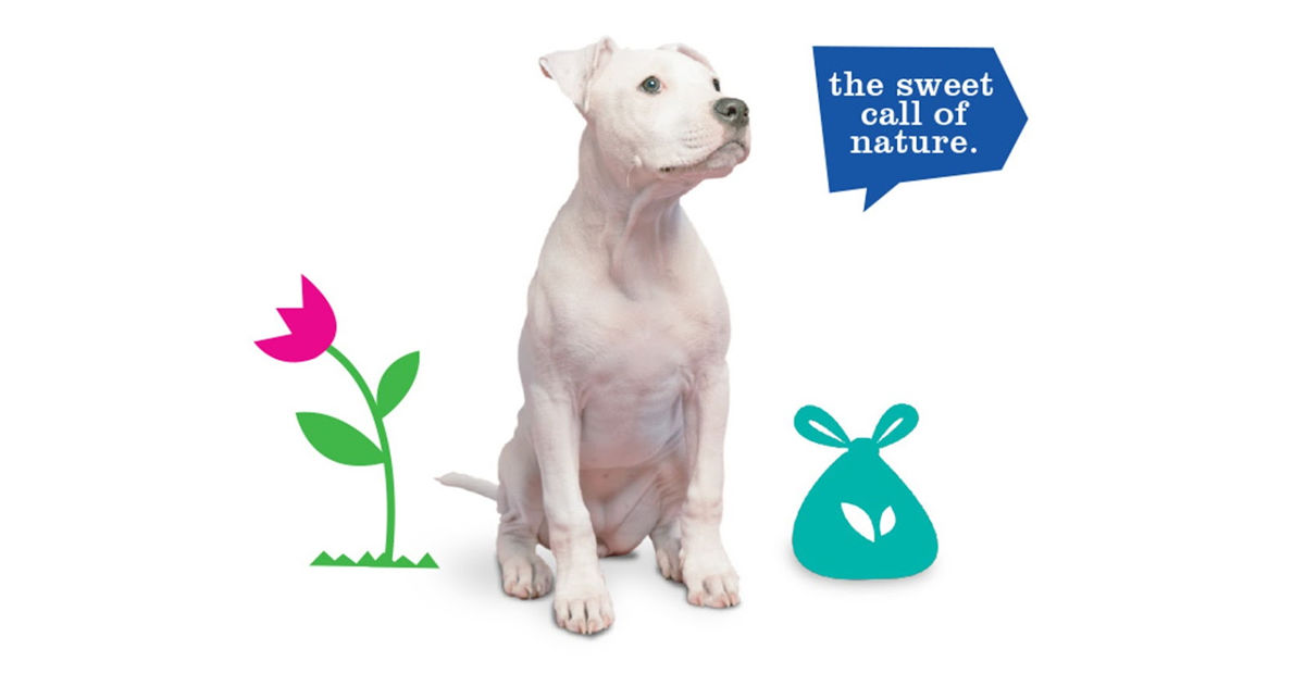 寵物包裝設(shè)計(jì)欣賞用品品牌包裝設(shè)計(jì)(圖10) 寵物包裝設(shè)計(jì)欣賞用品品牌包裝設(shè)計(jì)(圖10)