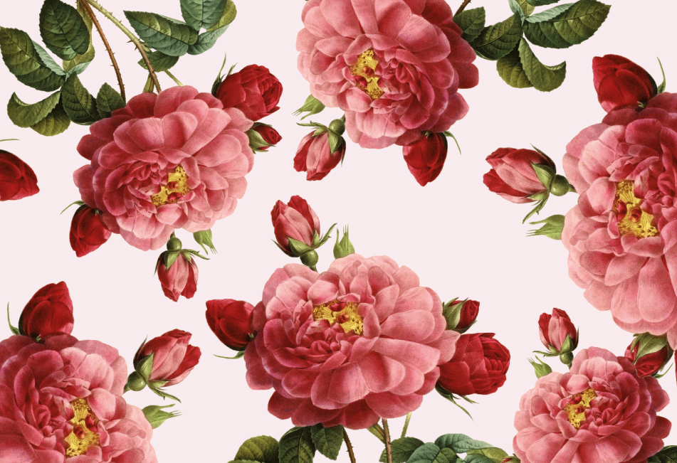 玫瑰精油品牌產品包裝設計(圖1) 玫瑰精油品牌產品包裝設計(圖1)