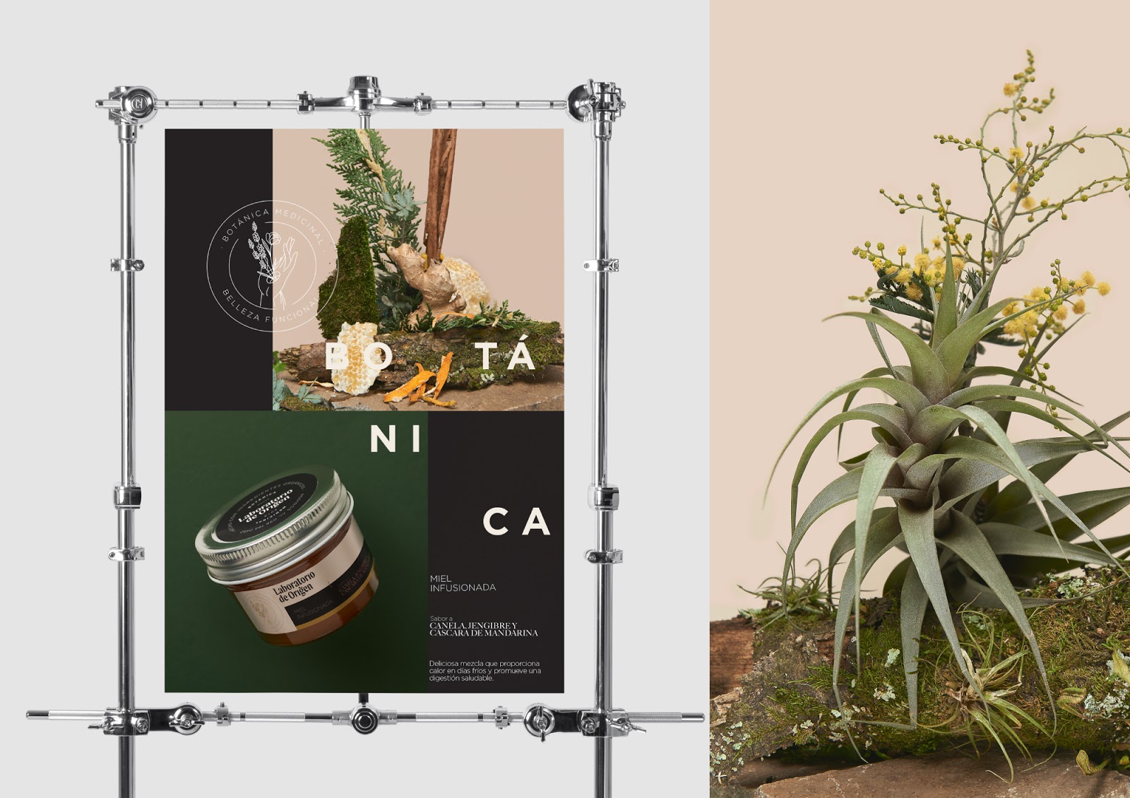 植物化妝品包裝設(shè)計(圖2) 植物化妝品包裝設(shè)計(圖2)