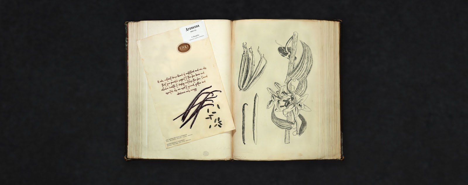 南昌禮盒設計-南昌禮盒設計公司(圖5) 南昌禮盒設計-南昌禮盒設計公司(圖5)