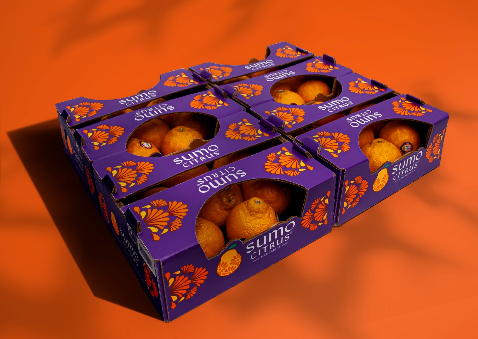 包頭水果品牌包裝設(shè)計非常有吸引力(圖4) 包頭水果品牌包裝設(shè)計非常有吸引力(圖4)