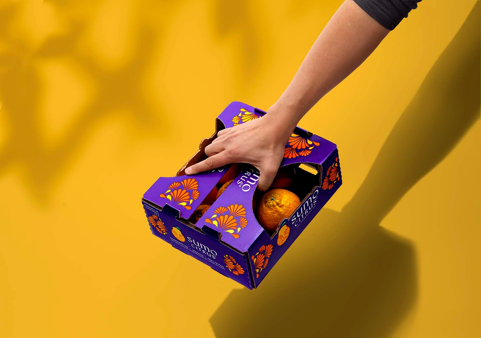 包頭水果品牌包裝設(shè)計非常有吸引力(圖3) 包頭水果品牌包裝設(shè)計非常有吸引力(圖3)