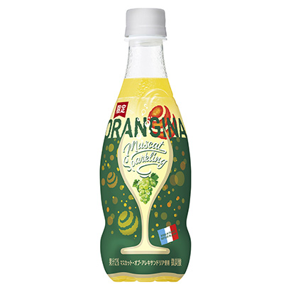 烏魯木齊食品飲料包裝設計(圖1) 烏魯木齊食品飲料包裝設計(圖1)