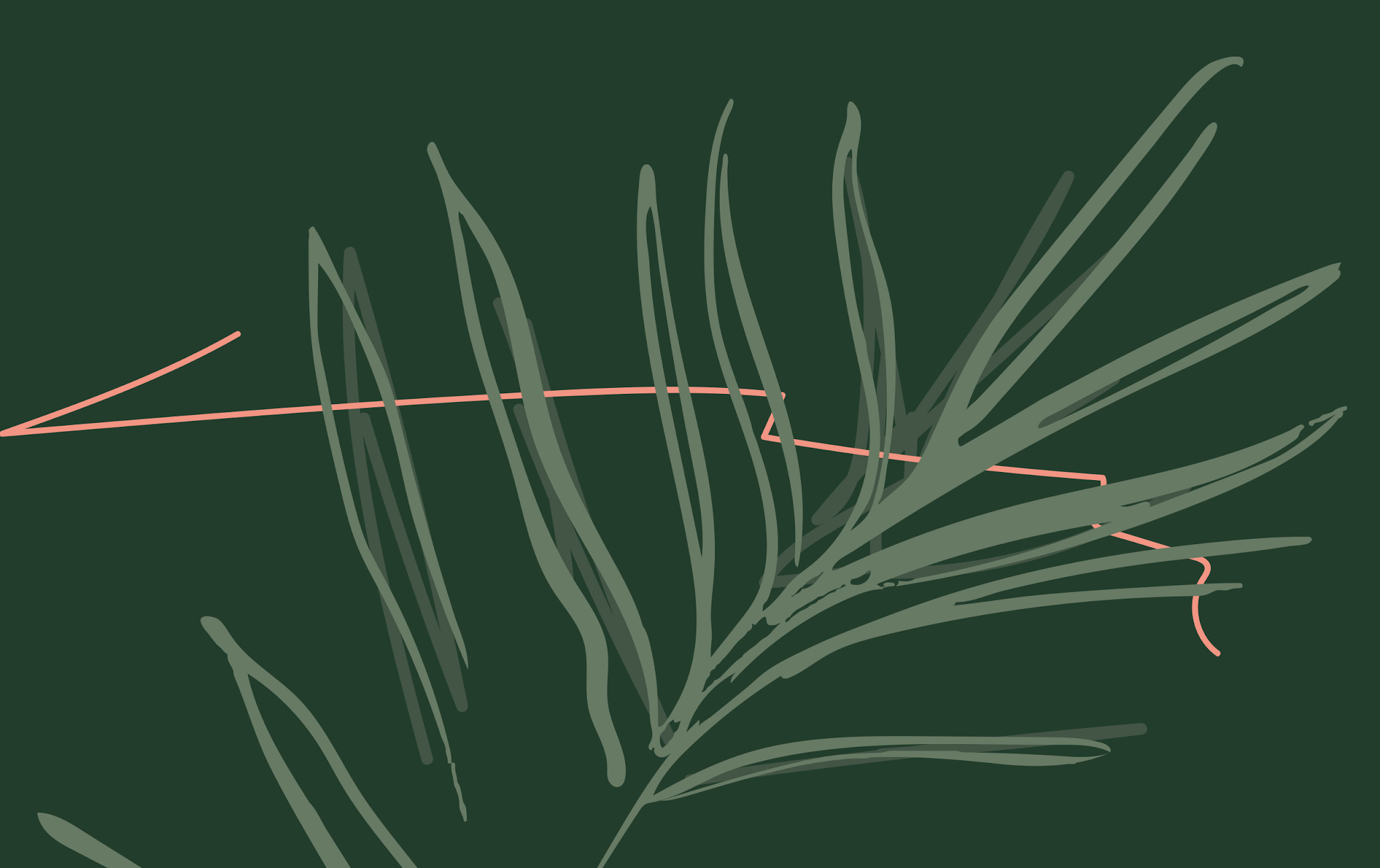 無殘留洗發水包裝設計(圖20)