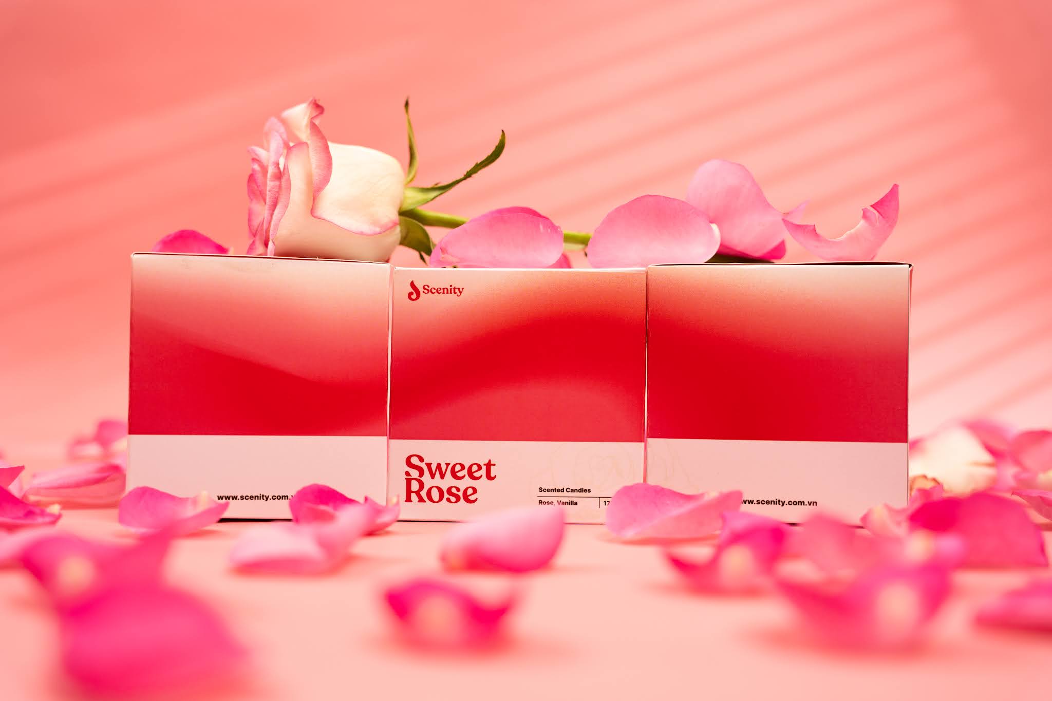 香薰品牌的包裝怎么設(shè)計(jì)(圖3) 香薰品牌的包裝怎么設(shè)計(jì)(圖3)