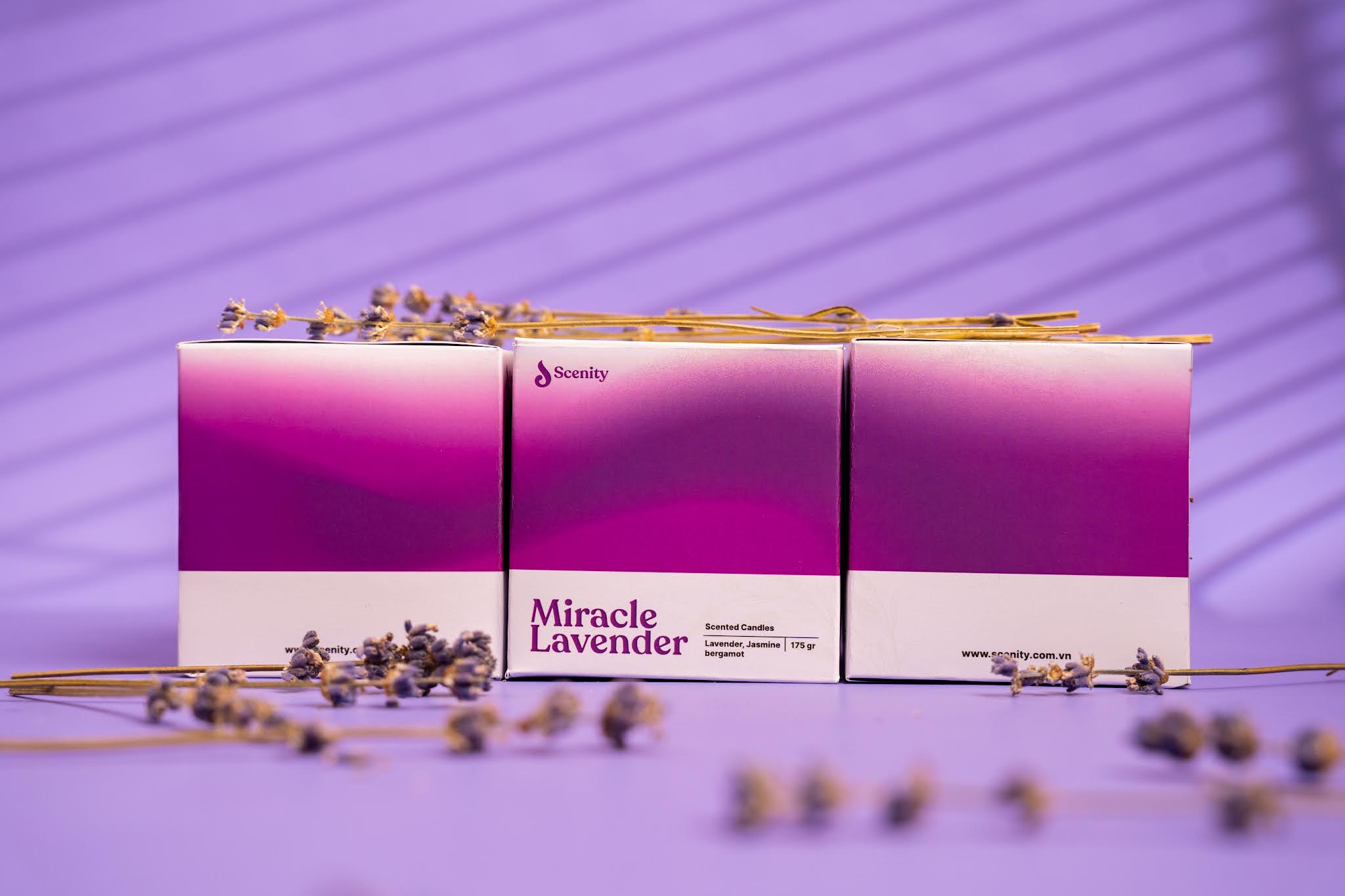 香薰品牌的包裝怎么設(shè)計(jì)(圖8) 香薰品牌的包裝怎么設(shè)計(jì)(圖8)