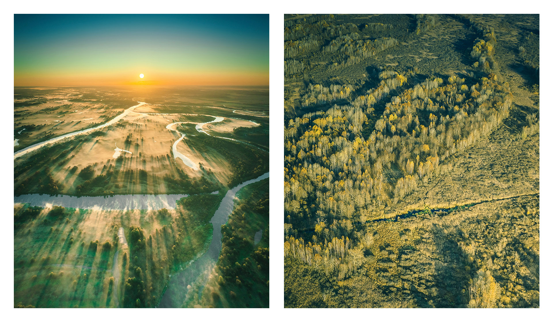 Frangula蜂蜜包裝設計(圖3) Frangula蜂蜜包裝設計(圖3)