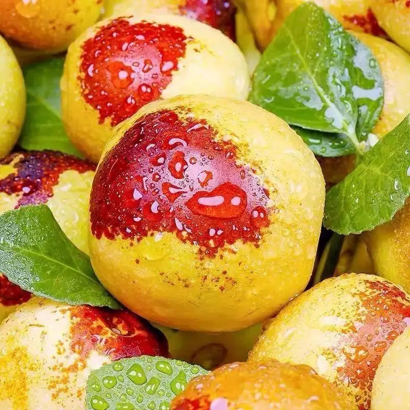 地方特產大荔冬棗包裝設計該怎么做(圖1) 地方特產大荔冬棗包裝設計該怎么做(圖1)