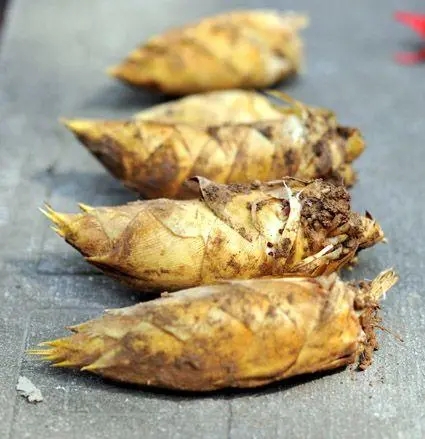 上海農(nóng)產(chǎn)品佘山蘭筍包裝設(shè)計要注意什么(圖1)