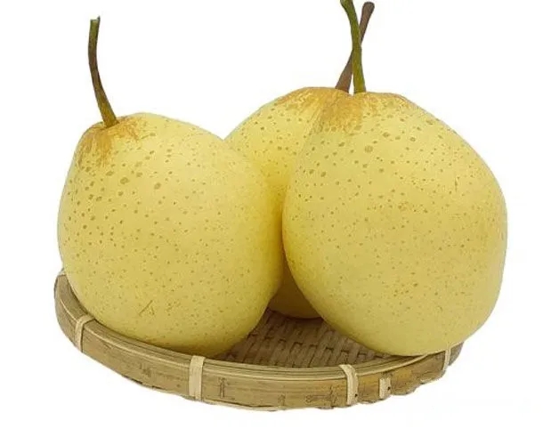 天津特產鴨梨包裝怎么設計好賣貨(圖1)