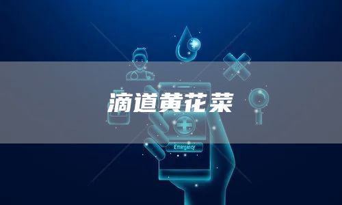 滴道黃花菜(圖1) 滴道黃花菜(圖1)