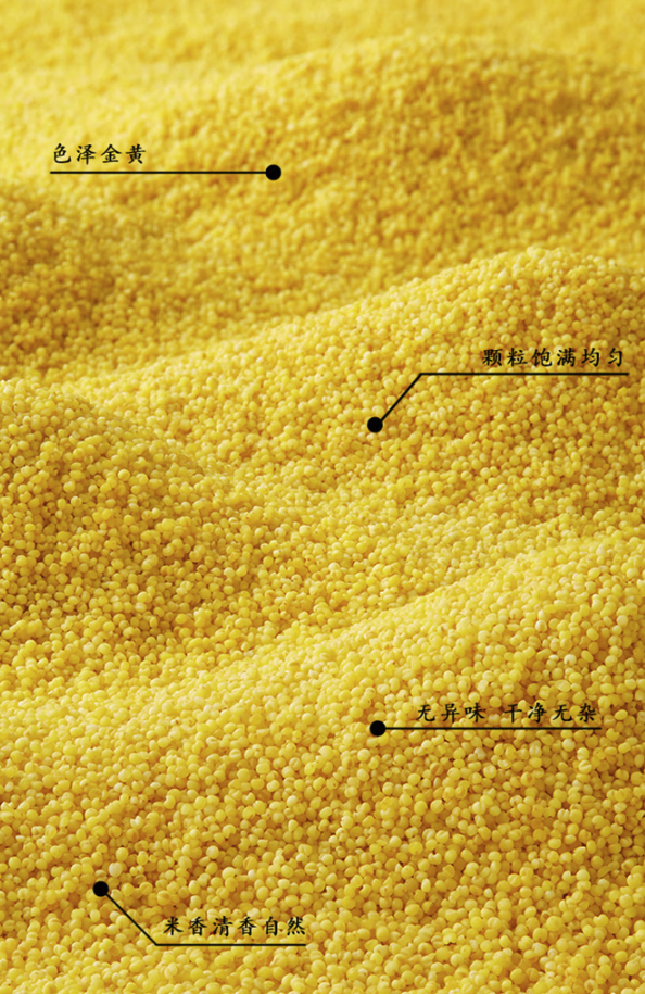 柴火大院 內蒙古黃小米 1kg包裝設計欣賞 (圖2)