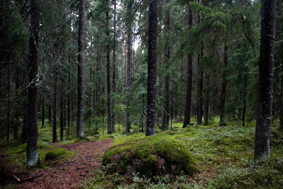 四喜:你觸摸到天花板了嗎?(圖2) 四喜:你觸摸到天花板了嗎?(圖2)