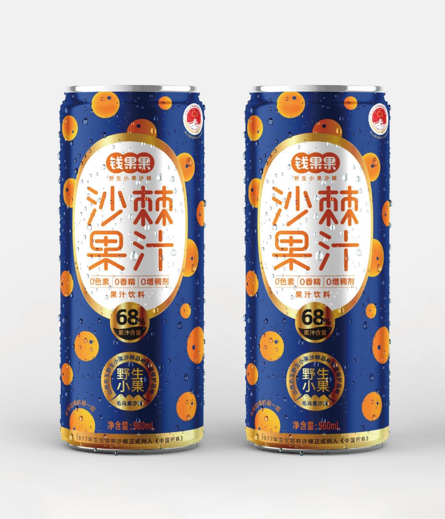 錢果果野生小果沙棘品牌包裝策劃設(shè)計(圖3)