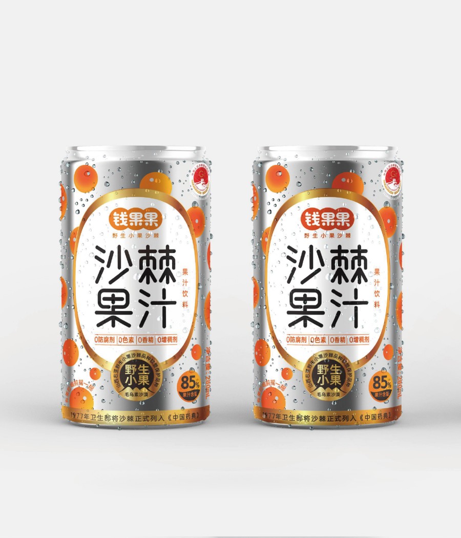 錢果果野生小果沙棘品牌包裝策劃設(shè)計(圖4)