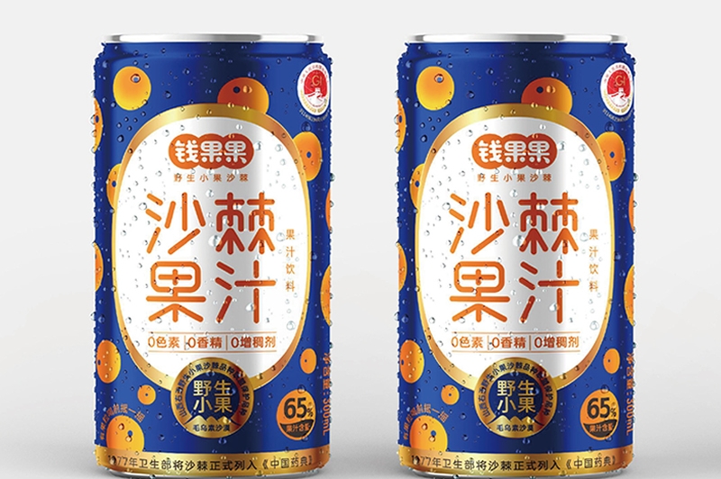 錢(qián)果果野生小果沙棘品牌包裝策劃設(shè)計(jì)