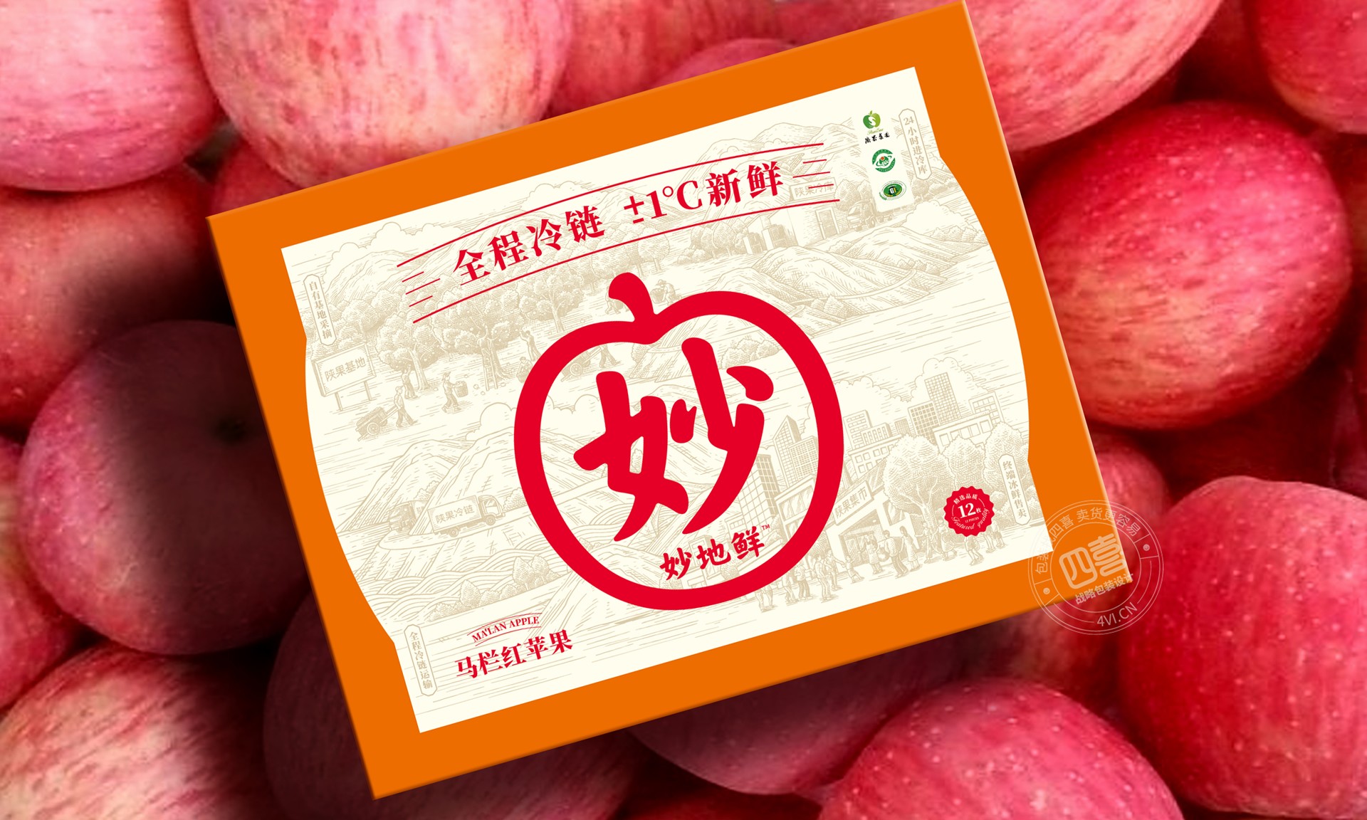 艷麗多彩！阜新水果包裝設計點亮你的生活(圖1)