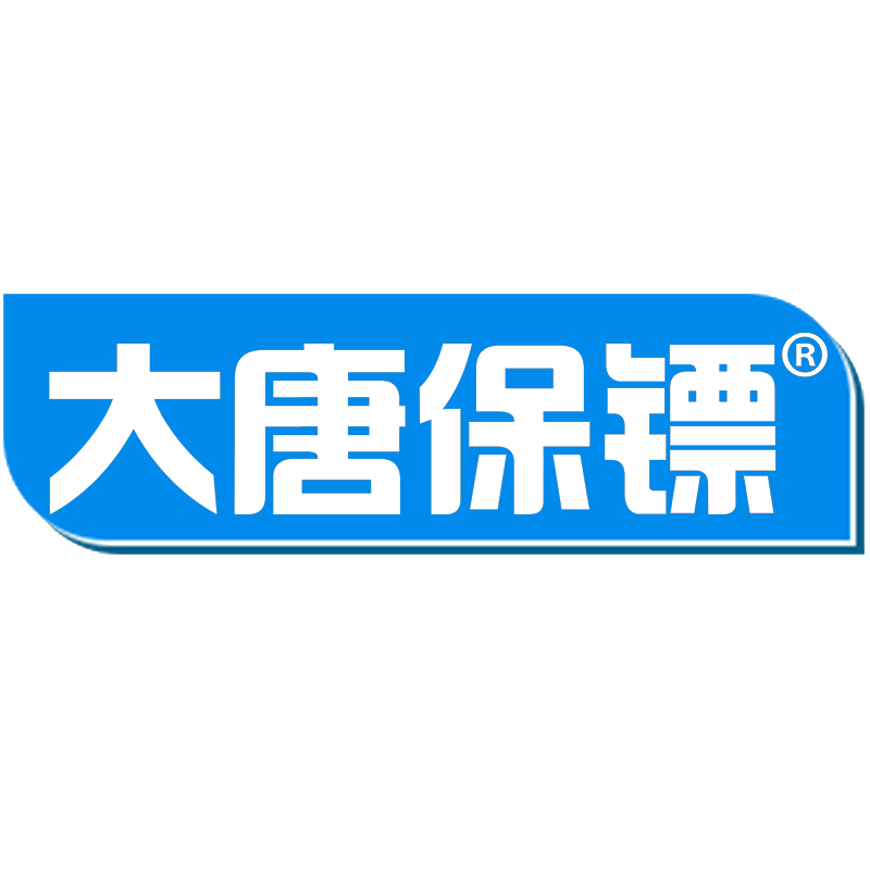 大唐保鏢品牌logo設(shè)計欣賞與分析(圖1) 大唐保鏢品牌logo設(shè)計欣賞與分析(圖1)
