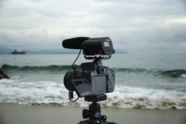 楓笛品牌logo設(shè)計欣賞與分析(圖1)