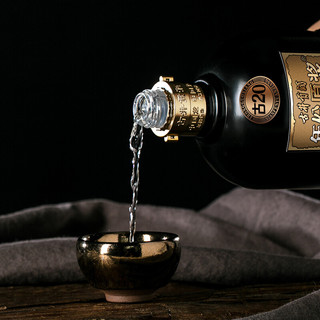 創意酒包裝設計年份原漿古濃香型白酒瓶整箱裝產品包裝設計欣賞(圖6)