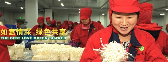 如意情食用菌 如意情品牌logo與食品包裝設計欣賞(圖4)