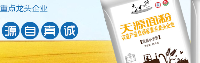 天源面粉 Tianyuan天源食品包裝設計欣賞(圖3)