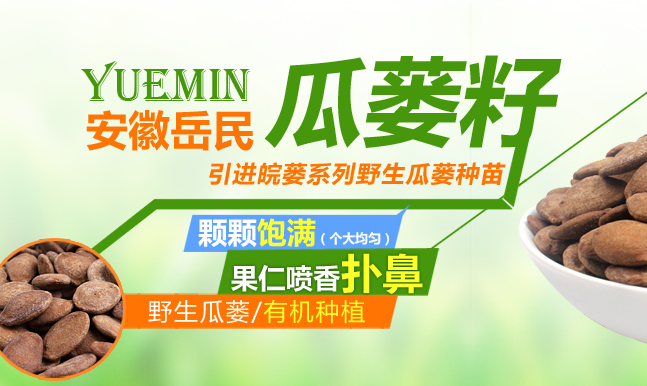 岳民 YUEMIN岳民食品包裝設計欣賞(圖3)
