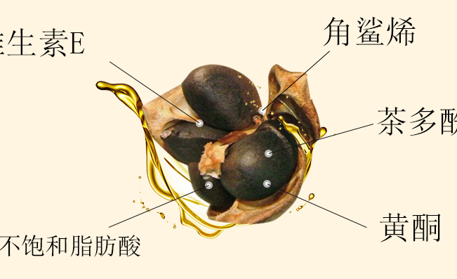 齊云山 齊云山食品包裝設計欣賞(圖4)